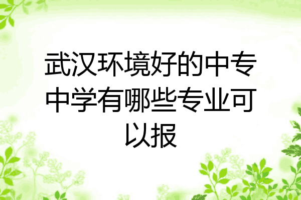 武汉环境好的中专中学有哪些专业可以报