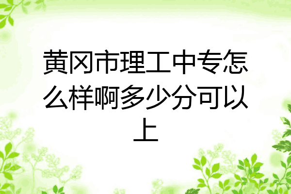 黄冈市理工中专怎么样啊多少分可以上