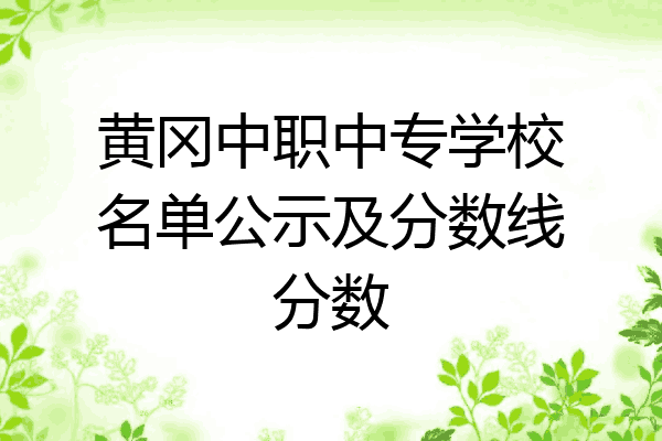 黄冈中职中专学校名单公示及分数线分数
