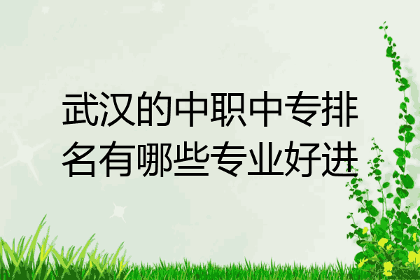 武汉的中职中专排名有哪些专业好进