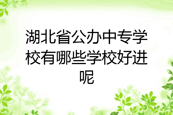 湖北省公办中专学校有哪些学校好进呢