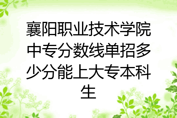 襄阳职业技术学院中专分数线单招多少分能上大专本科生