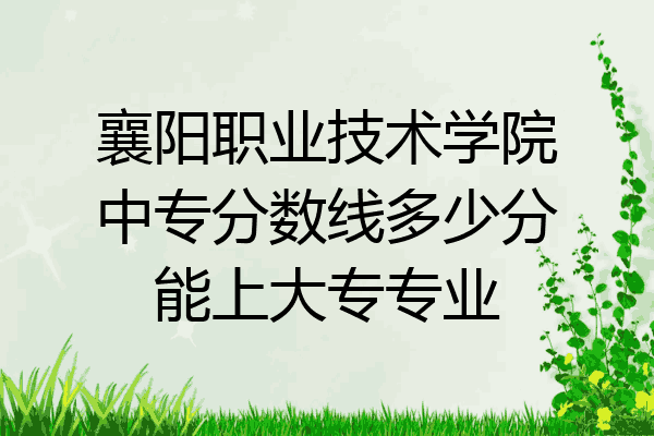 襄阳职业技术学院中专分数线多少分能上大专专业