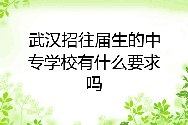 武汉招往届生的中专学校有什么要求吗