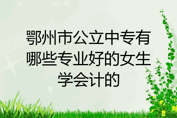 鄂州市公立中专有哪些专业好的女生学会计的