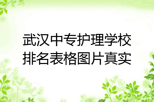 武汉中专护理学校排名表格图片真实