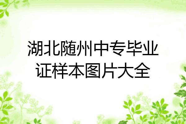 湖北随州中专毕业证样本图片大全