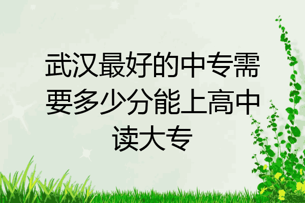 武汉最好的中专需要多少分能上高中读大专