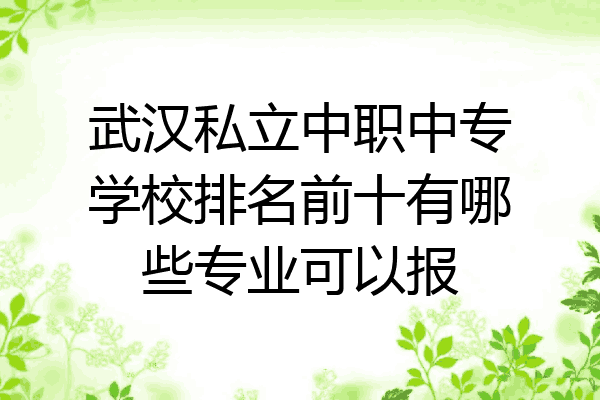 武汉私立中职中专学校排名前十有哪些专业可以报