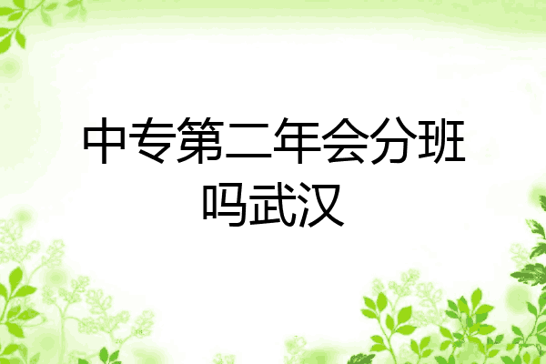 中专第二年会分班吗武汉
