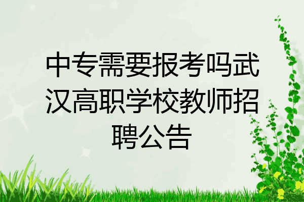 中专需要报考吗武汉高职学校教师招聘公告