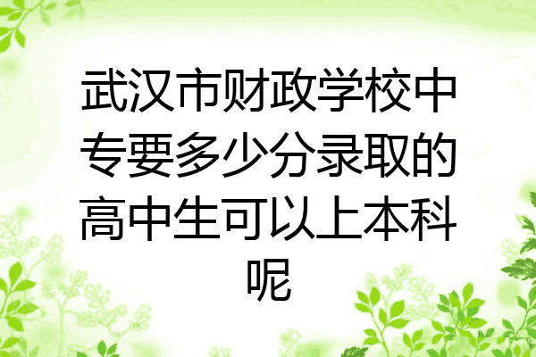 武汉市财政学校中专要多少分录取的高中生可以上本科呢