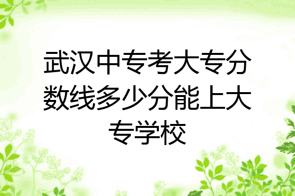武汉中专考大专分数线多少分能上大专学校