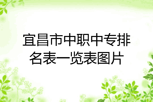 宜昌市中职中专排名表一览表图片