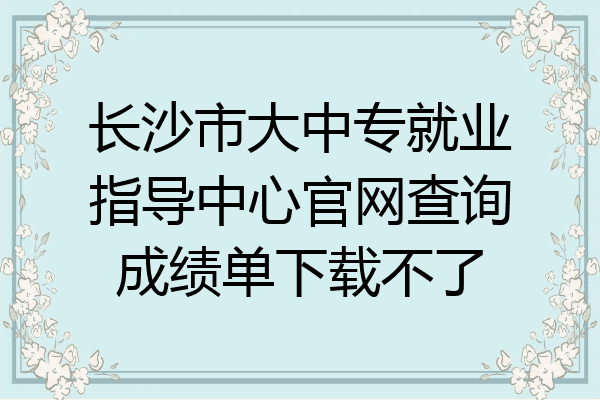 长沙市大中专就业指导中心官网查询成绩单下载不了
