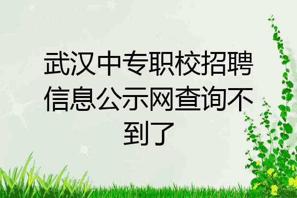 武汉中专职校招聘信息公示网查询不到了