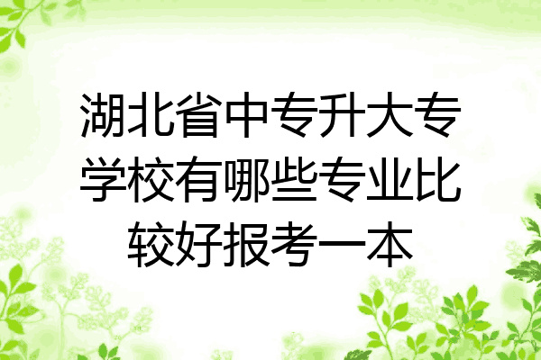 湖北省中专升大专学校有哪些专业比较好报考一本