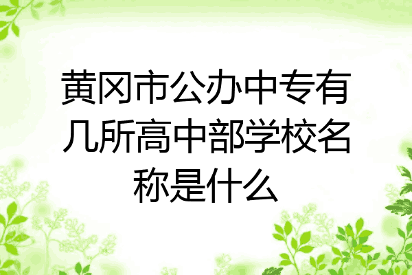 黄冈市公办中专有几所高中部学校名称是什么