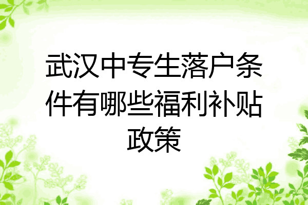 武汉中专生落户条件有哪些福利补贴政策