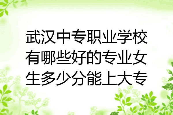武汉中专职业学校有哪些好的专业女生多少分能上大专