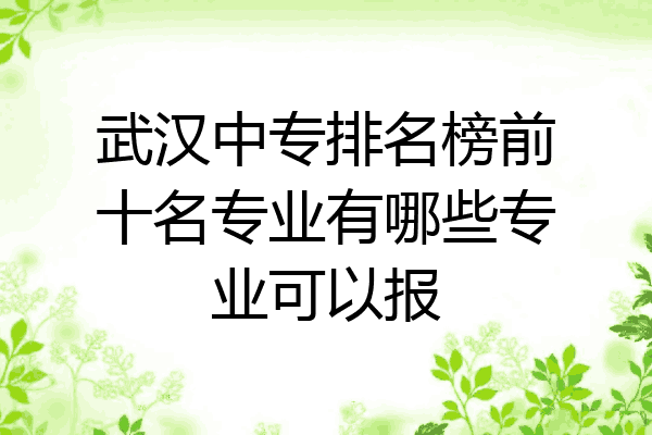武汉中专排名榜前十名专业有哪些专业可以报