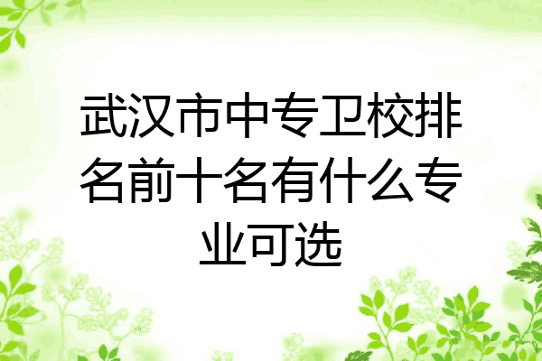 武汉市中专卫校排名前十名有什么专业可选