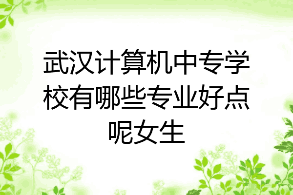 武汉计算机中专学校有哪些专业好点呢女生