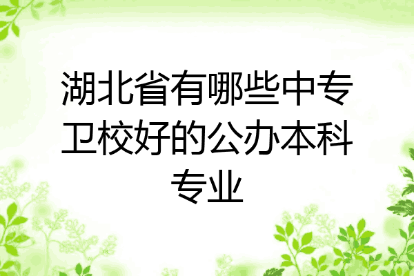 湖北省有哪些中专卫校好的公办本科专业