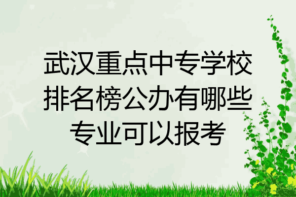 武汉重点中专学校排名榜公办有哪些专业可以报考