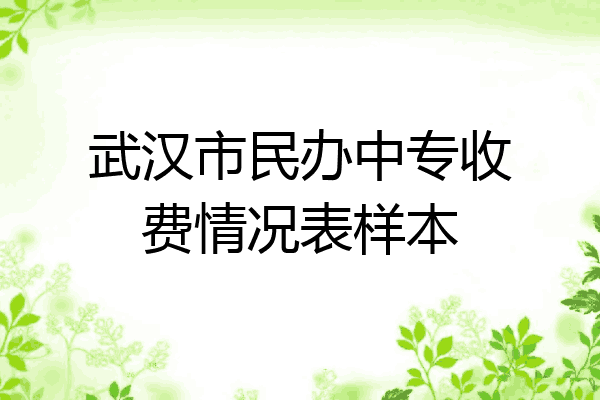 武汉市民办中专收费情况表样本