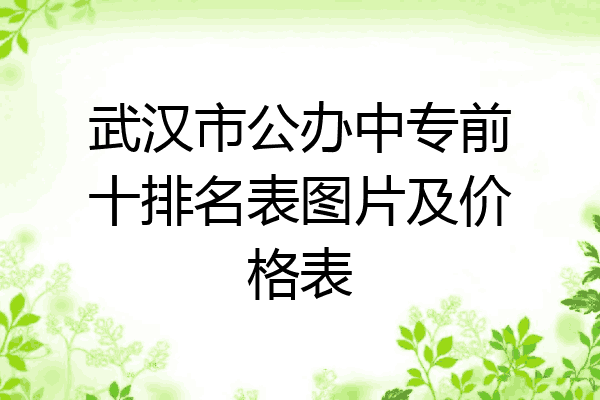武汉市公办中专前十排名表图片及价格表