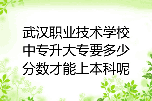 武汉职业技术学校中专升大专要多少分数才能上本科呢