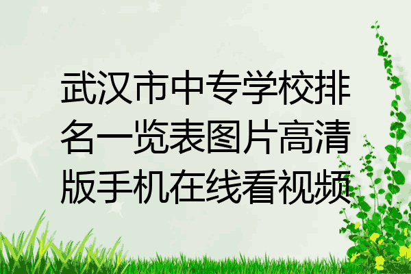 武汉市中专学校排名一览表图片高清版手机在线看视频