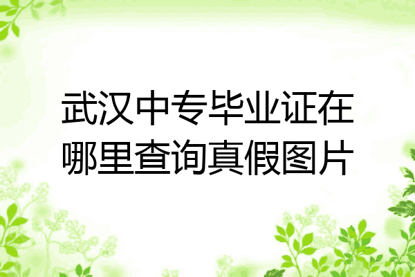 武汉中专毕业证在哪里查询真假图片