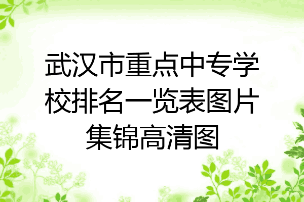 武汉市重点中专学校排名一览表图片集锦高清图