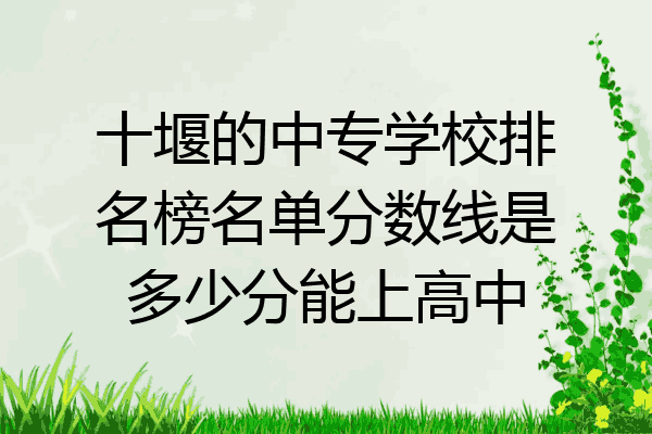 十堰的中专学校排名榜名单分数线是多少分能上高中