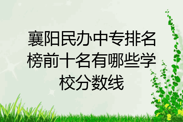 襄阳民办中专排名榜前十名有哪些学校分数线