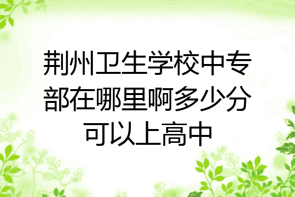 荆州卫生学校中专部在哪里啊多少分可以上高中