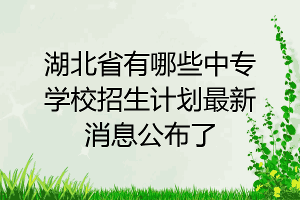 湖北省有哪些中专学校招生计划最新消息公布了