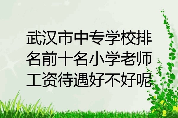 武汉市中专学校排名前十名小学老师工资待遇好不好呢