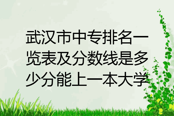 武汉市中专排名一览表及分数线是多少分能上一本大学