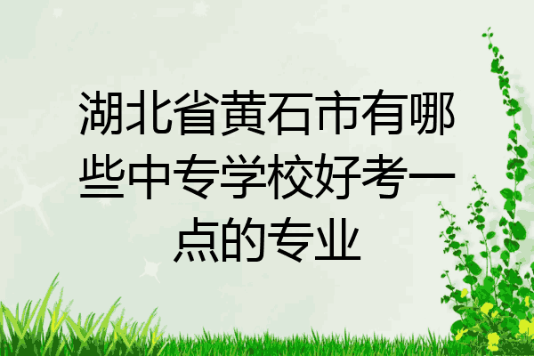 湖北省黄石市有哪些中专学校好考一点的专业