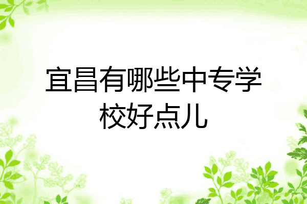 宜昌有哪些中专学校好点儿