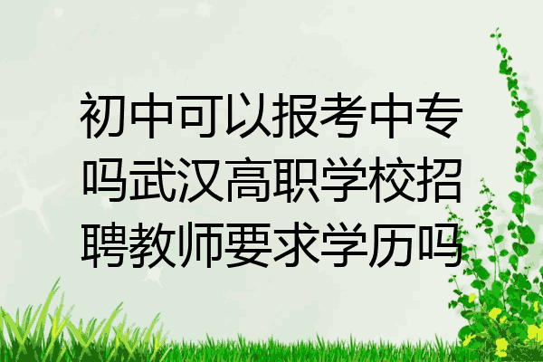 初中可以报考中专吗武汉高职学校招聘教师要求学历吗