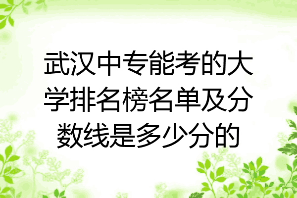 武汉中专能考的大学排名榜名单及分数线是多少分的