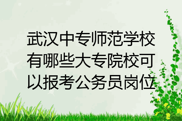 武汉中专师范学校有哪些大专院校可以报考公务员岗位