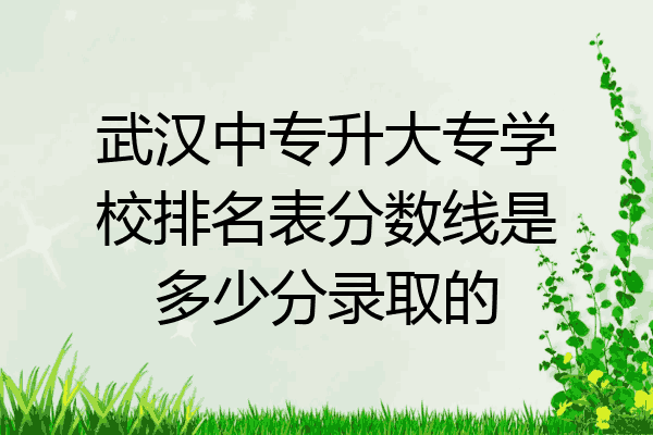 武汉中专升大专学校排名表分数线是多少分录取的