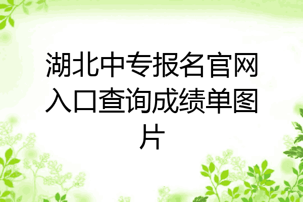 湖北中专报名官网入口查询成绩单图片