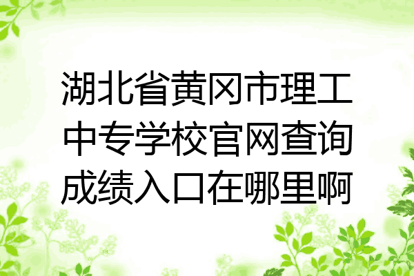 湖北省黄冈市理工中专学校官网查询成绩入口在哪里啊