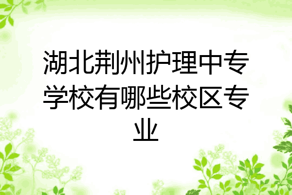 湖北荆州护理中专学校有哪些校区专业